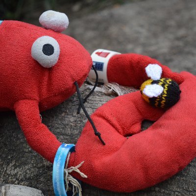Human literary agent representing Toby the Lobster, renowned guard lobster turned author. Follow his exploits on @CrToby