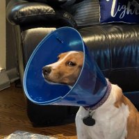 Dr. Chaffs (@drchaffs) 's Twitter Profile Photo Dr. Chaffs (@drchaffs) 's Twitter Profile Photo
