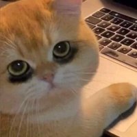 Pao Pao (@seethispao) 's Twitter Profile
