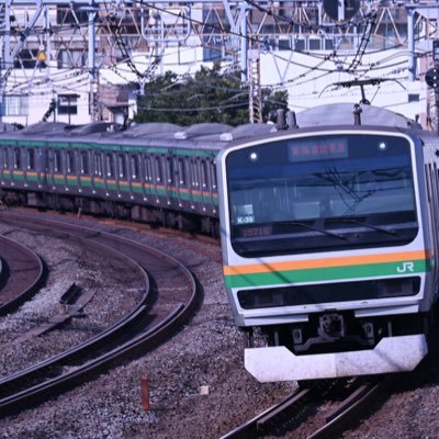 赤羽かおる　ぶな林 相模東海道 on X: 