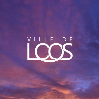 VilledeLoos Profile Picture