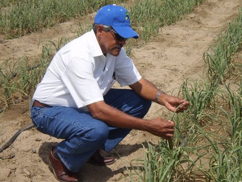 modestoreyes's profile picture. Padre orgulloso de sus hijos/as y amante de la naturaleza.