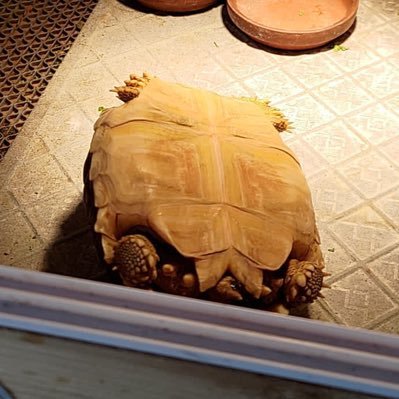 Rioさんのプロフィール画像