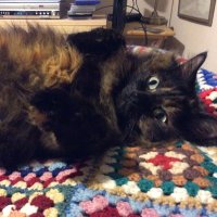 Paul (@xix_pms_1886) 's Twitter Profile Photo