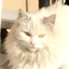 SwingFX1's profile picture. USDJPY,GBPJPY,GBPAUDがメインのデイ＆スイングトレーダーです。
おもにテクニカルとファンダメンタルズで相場を分析してつぶやいています。
たまにばっちりハマりますｗｗｗ。投資は自己責任でお願いしますね！(^^♪