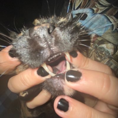 geeanna_'s profile picture. 