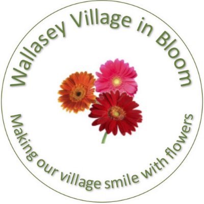 We are local residents who have come together to improve our village with flowers. Gold Finalists in RHS Britain in Bloom 2021 and 2018  Large Village category.