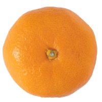 Big Satsuma Radio (@bigsatsumaradio) 's Twitter Profile