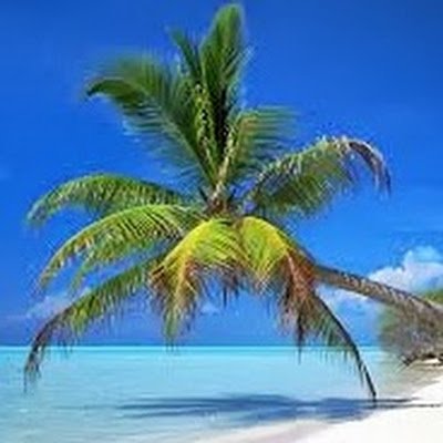 Cruiselife2003's profile picture. 