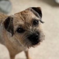 Meike (@janets34) 's Twitter Profile