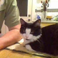 Jacques Eric Nolan (@nalonjack) 's Twitter Profile