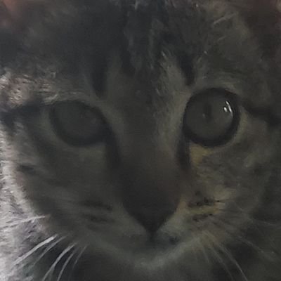 gjjHhh_66's profile picture. 