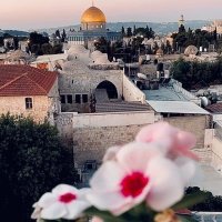 العنود (@ssdokdss) 's Twitter Profile