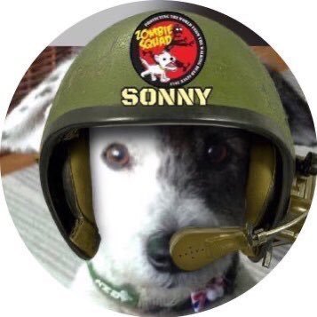 SpotSonny Profile Picture