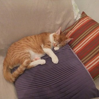 yuuri0411's profile picture. 関西とせくぞちゃん！
secondz
U:nity
趣味や生活なんでもあり
遙か再燃中1～7プレイ済
6ロンドプレイ中