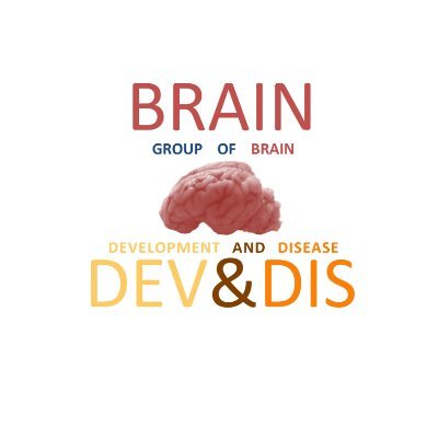 Vanessa89002496's profile picture. Our research group uses single cell technologies to determine mechanisms in development and evolution of the spatial processing system and Alzheimer’s disease.