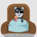 Bobbybarks (@bobbybarks) Twitter profile photo Bobbybarks (@bobbybarks) Twitter profile photo