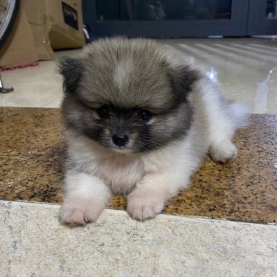 jonathxn00's profile picture. 