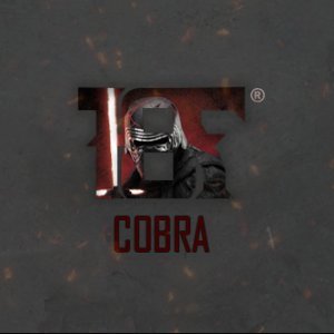 ttvkingcobrasss's profile picture. https://t.co/ZS53zWYAH6 |14 year old streamer | owner of the small streamers program | founder  of 186