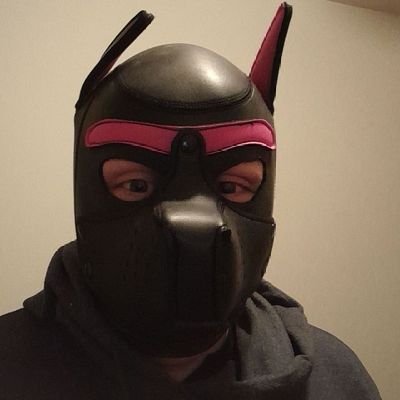 Rubber, bondage, sissification, ABDL, and pup play are my main 5 big kinks, but ask to know more.  No minors. Pronouns: He/Him mainly, but call me whatever 😘