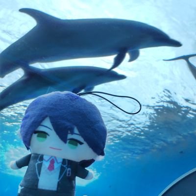 もちれさんのプロフィール画像