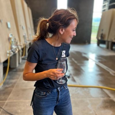 domainedescombe's profile picture. Agroecological farming in our Beaujolais & Chablis vineyards and minimal intervention in the cellar. Terroir-driven wines.