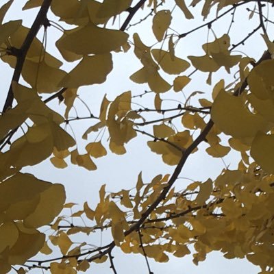 JP_daeriguip's profile picture. Stop accepting new customer requests / 일본 대리 구매 /proxy & sell/ on＆offline / WISE or PAYPAL or JP BANK(jp→jp) ONLY / mercari・rakuma❌/ User Guide Required Reading