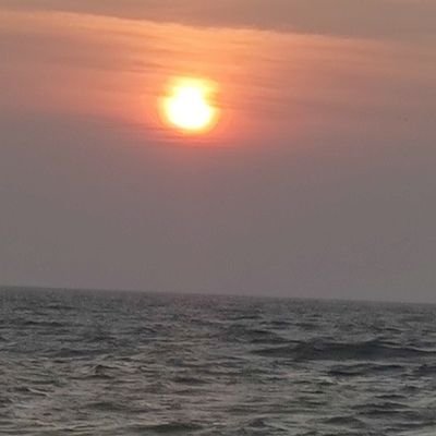 ushaksharma15's profile picture. Educator/ Mentor/Counselor