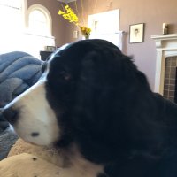 LexOrandi (@lexvevindi) 's Twitter Profile Photo