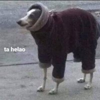tuvieja (@messcitalopram) 's Twitter Profile