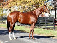 Ramsey_Farm Profile Picture