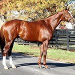 Ramsey Farm (@ramsey_farm) 's Twitter Profile Photo Ramsey Farm (@ramsey_farm) 's Twitter Profile Photo