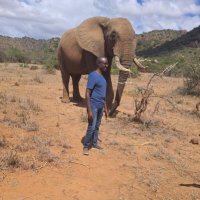 Mutuma Marimba (@mmarimba) 's Twitter Profile