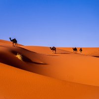 Ferdinand Maus (@ferdinandmaus) Twitter profile photo