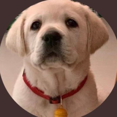 A Christian, had a lovely Labrador. Love God, Jesus is my lord. This is my third account.