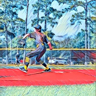 Mike Sebestyen Profile