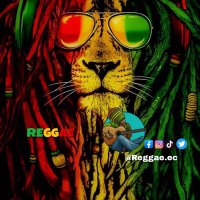 Reggae(@ReggaeEc) 's Twitter Profile Photo