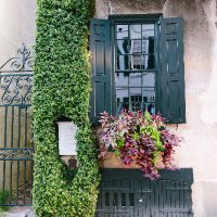 Explore Charleston (@explorechs) 's Twitter Profile