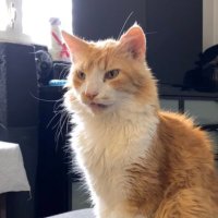 constantRic (@constantric) 's Twitter Profile