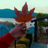 Sumayya Iqbal (@sumayyaiqbal5) 's Twitter Profile
