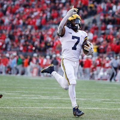 〽️ichigan Nation Profile