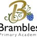 BramblesWillow (@willowbrambles) Twitter profile photo BramblesWillow (@willowbrambles) Twitter profile photo