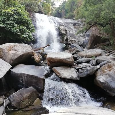 humidity2022's profile picture. 