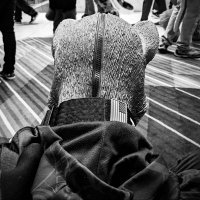 PupJauz (@jauzpup) 's Twitter Profile