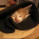 Lorna Powell - @lorna_powell - Twitter