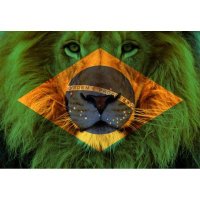 FERNANDO (@nandofreedom79) 's Twitter Profile