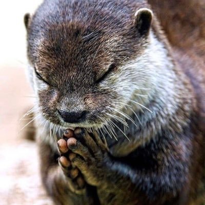 JosephOz213's profile picture. Individual by nature, collective by conscience. I am an expert finding errors. "Where other men blindly follow the truth, remember, nothing is truth"