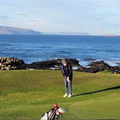 shootinshark's profile picture. 