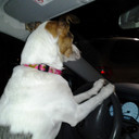 Anna Hanley - @tricky007 - Twitter