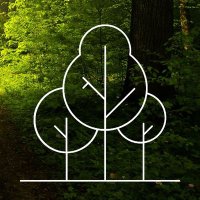 Poetry Picnic (@poetry_picnic) 's Twitter Profile Photo Poetry Picnic (@poetry_picnic) 's Twitter Profile Photo